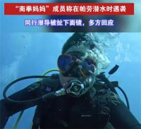 南拳妈妈成员帕劳潜水遭水下袭击 多方回应南拳妈妈成员帕劳潜水遇袭