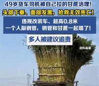 49岁司机被自己拉的一车甘蔗活埋 司机改 装货车出事故